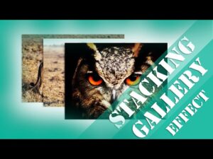 How To Create A Stacked Gallery Using HTML And CSS