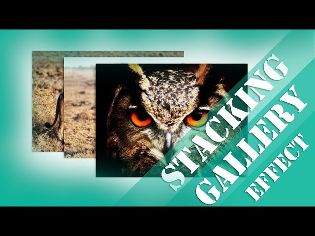 How To Create A Stacked Gallery Using HTML And CSS