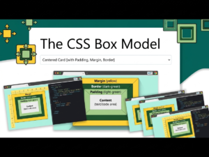 How to Understand the CSS Box Model With Real Examples